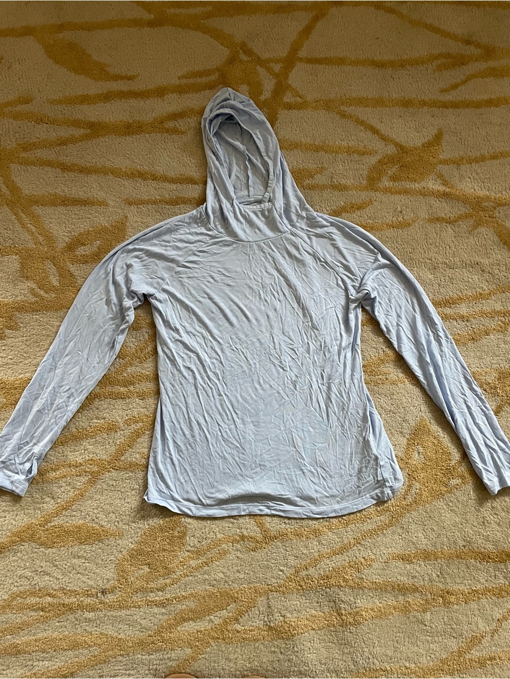 Light Blue Women's Hooded Long-Sleeve Top